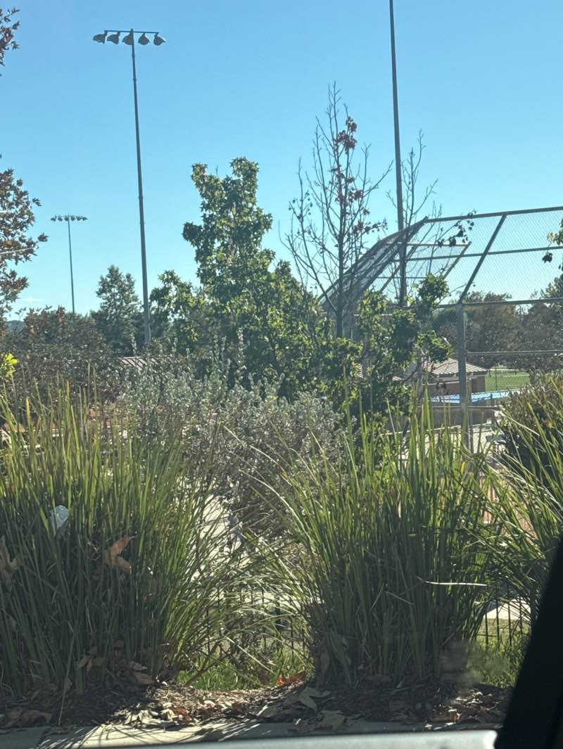 walking near me in Spencer's Crossing Sports Park in autumn