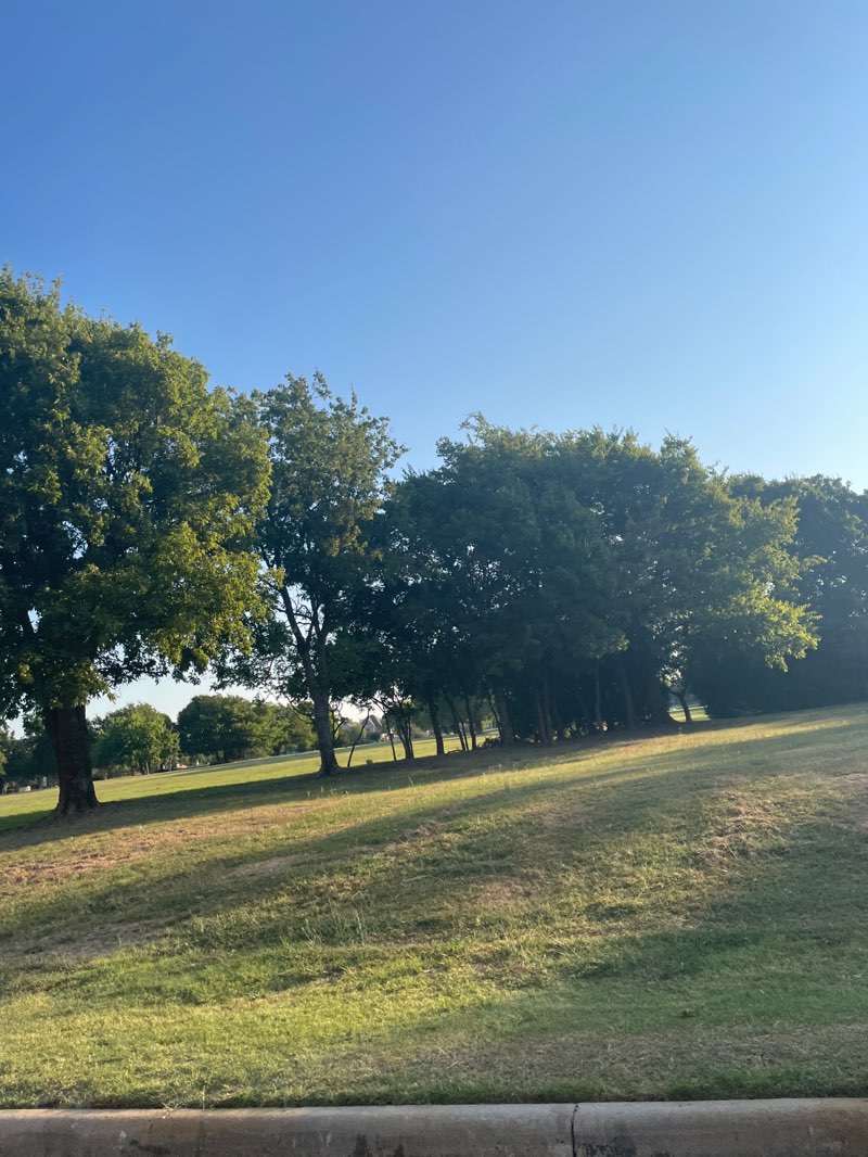 walking near me in Veterans Memorial Park in autumn