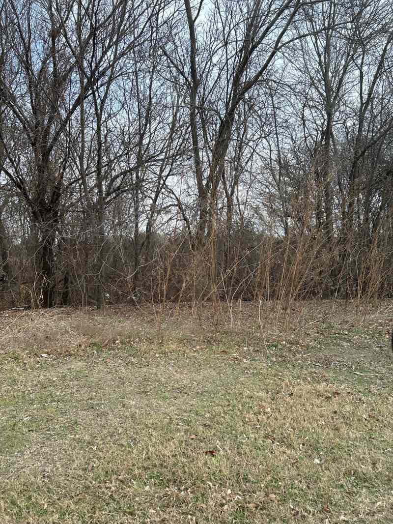 walking near me in Twin Creeks Park in winter