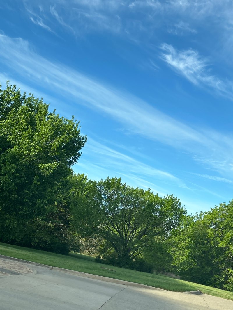 walking near me in Veterans Memorial Park in spring