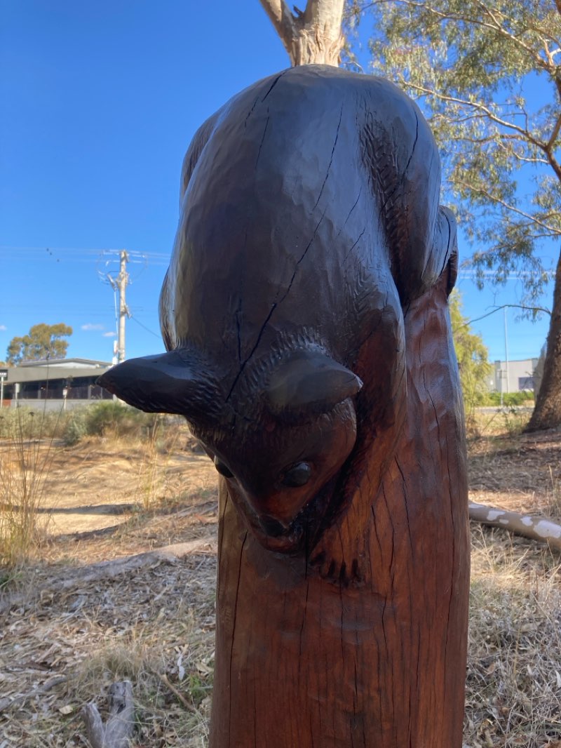 walking near me in Grassy Flat Reservoir Bushland Reserve in autumn