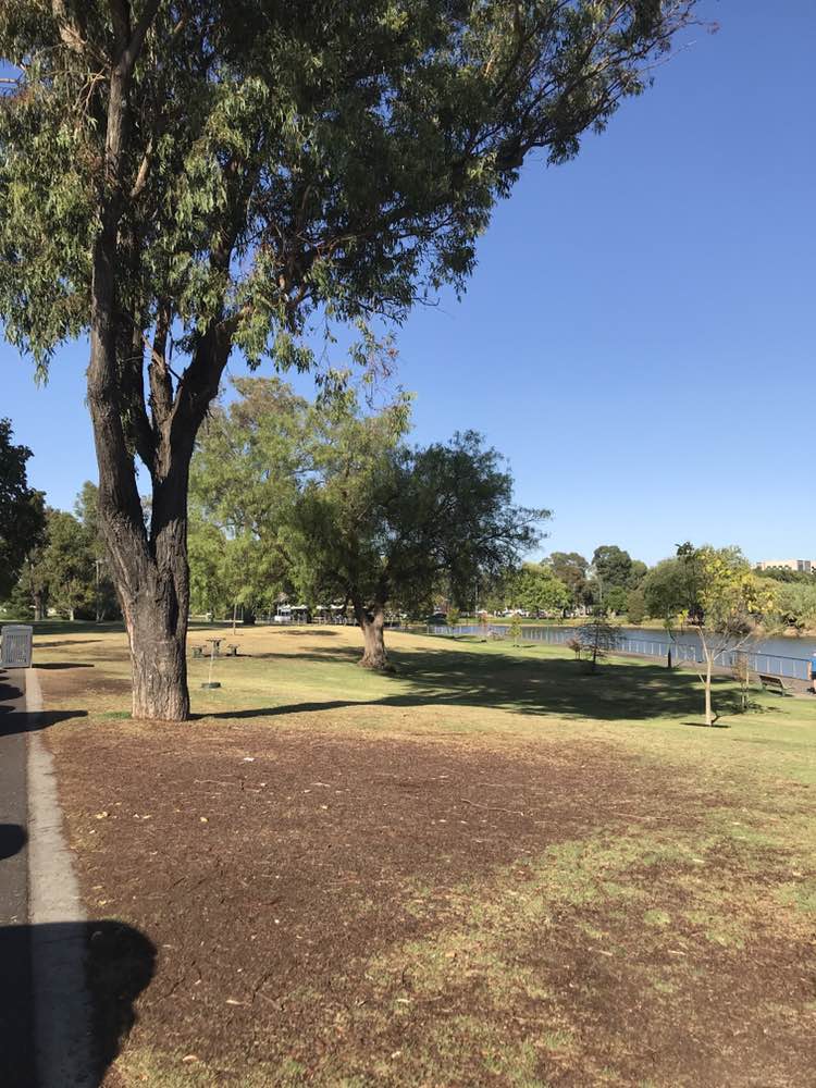 walking near me in Lake Weeroona Park in autumn