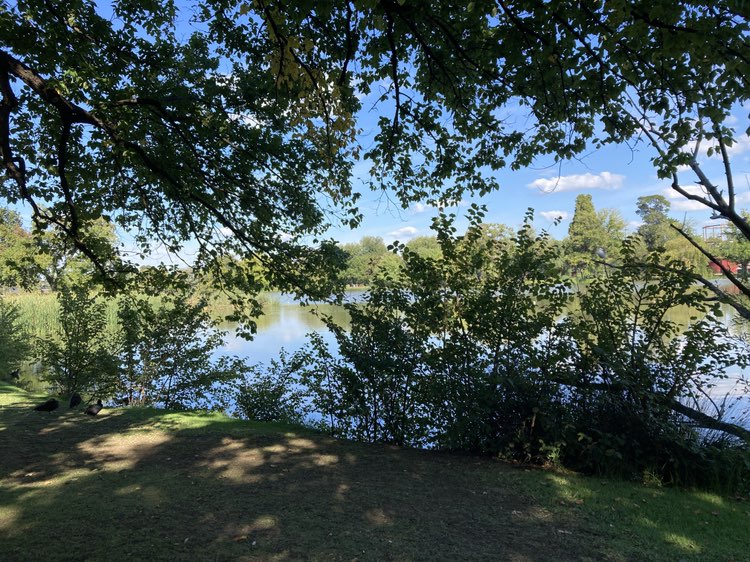 walking near me in Lake Weeroona Park in autumn