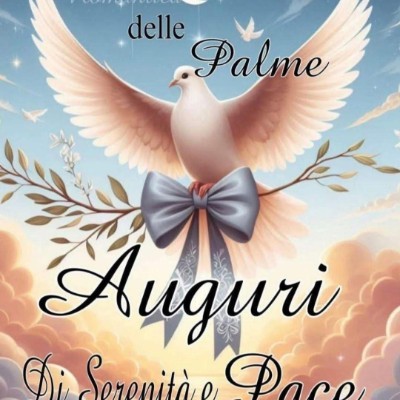 🧩Momenti Speciali X🏃‍♀️🤣 🖤💙Mario♐🚶👁️🍀 post image