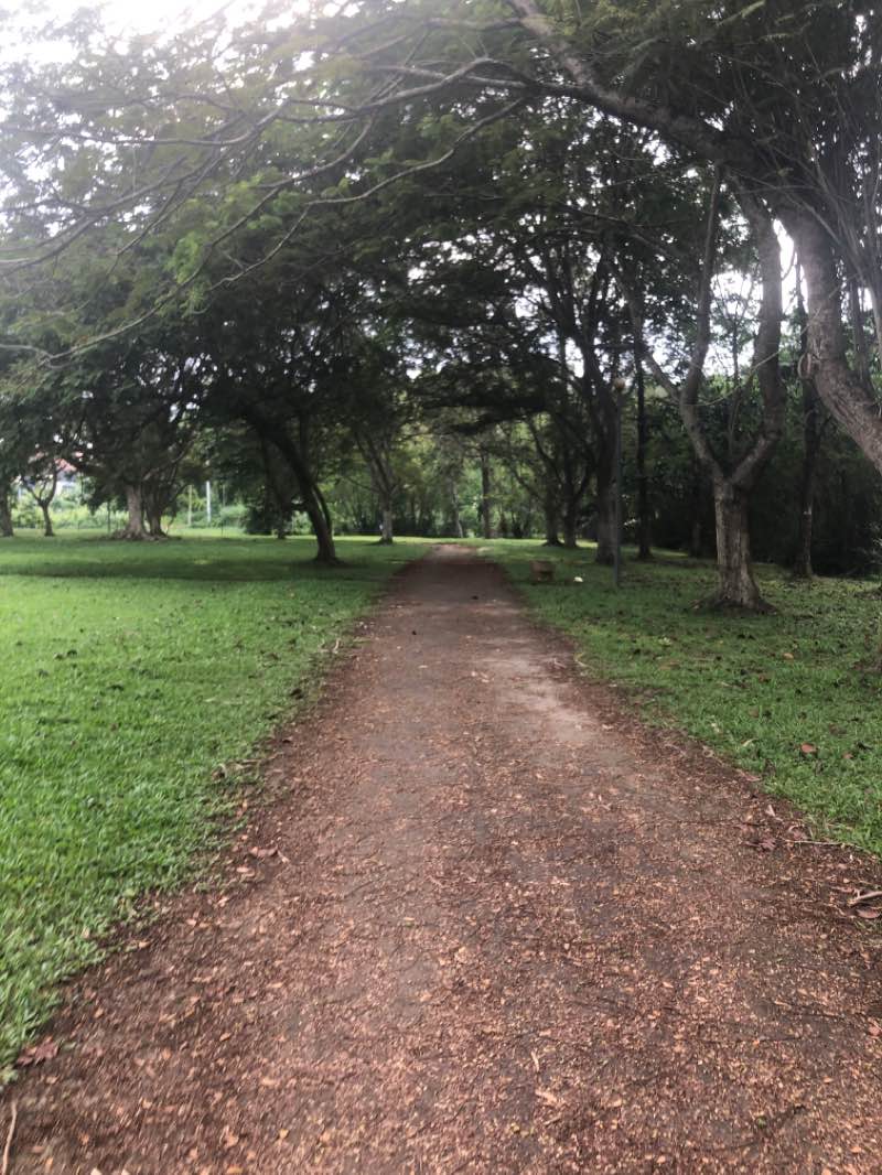 walking near me in Ujana Park in winter