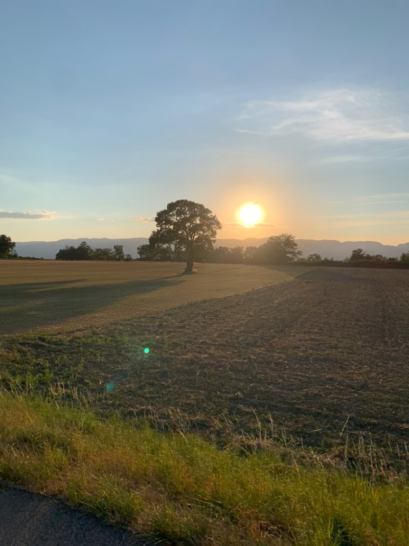walking near me in Promenade Saint-Antoine in winter