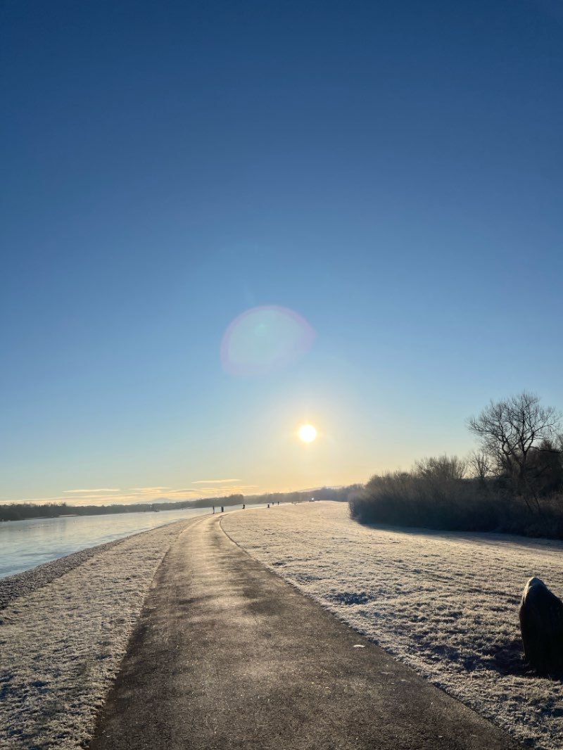 walking near me in Strathclyde Park in winter