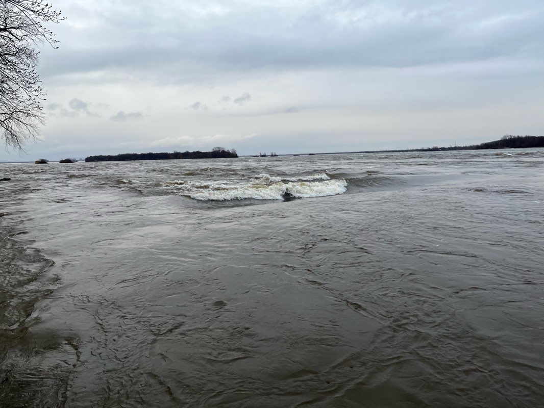 walking near me in Parc des Vannes de l'Aqueduc in spring