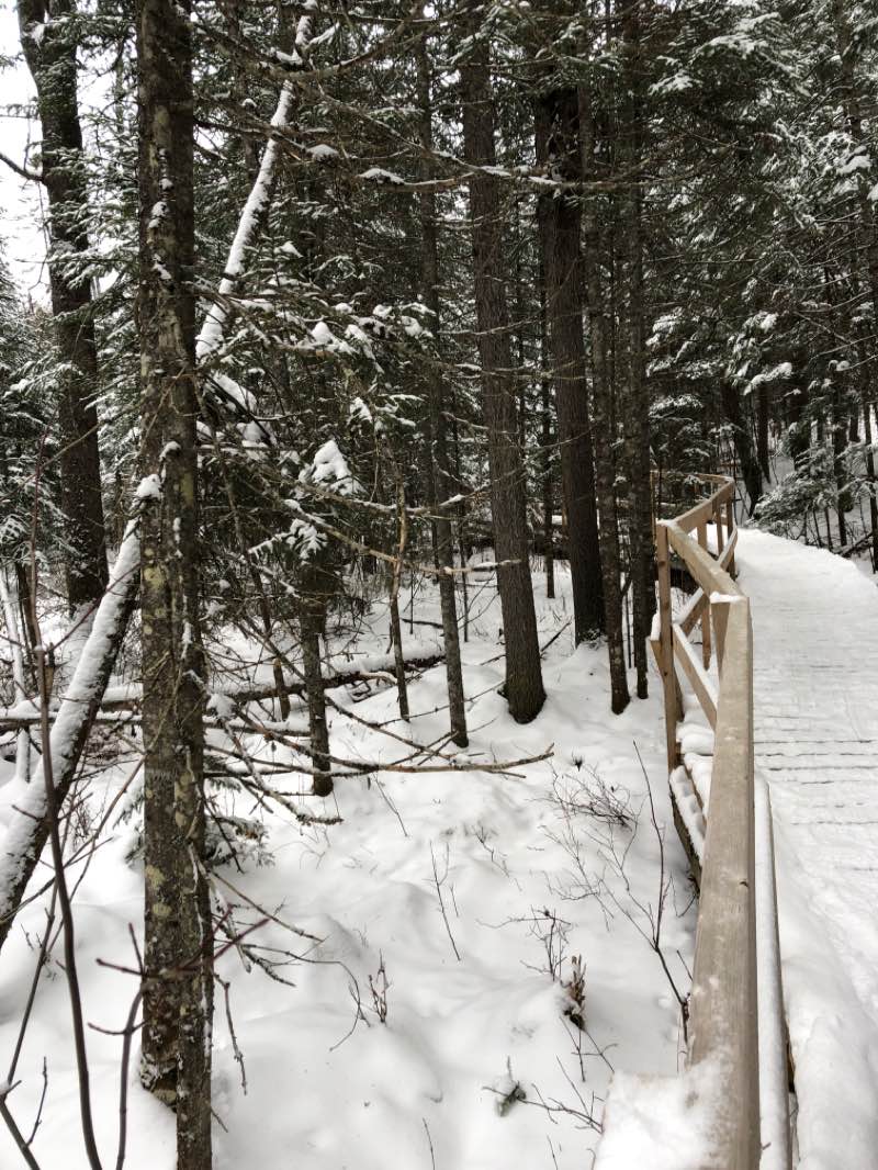 walking near me in Parc écoforestier de Johnville in winter