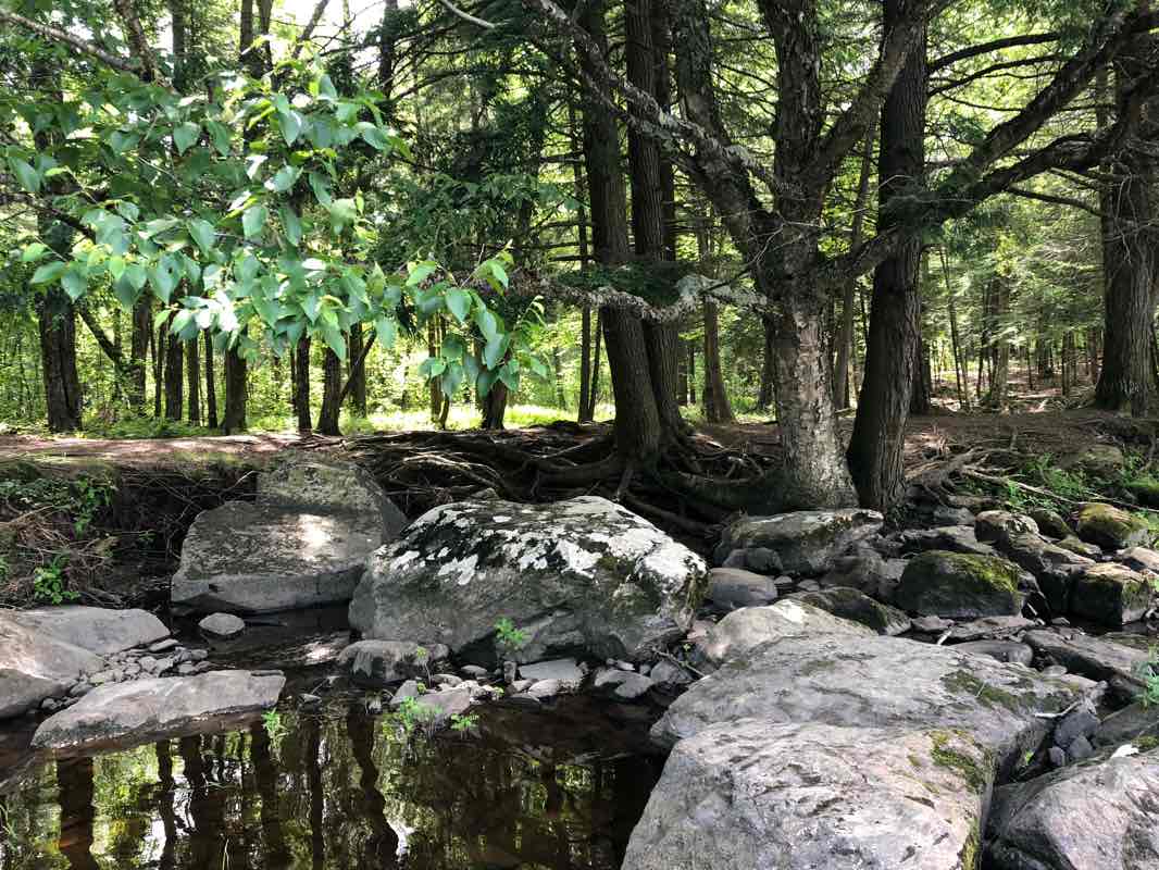 walking near me in Parc Carmen-Cloutier Juneau in winter