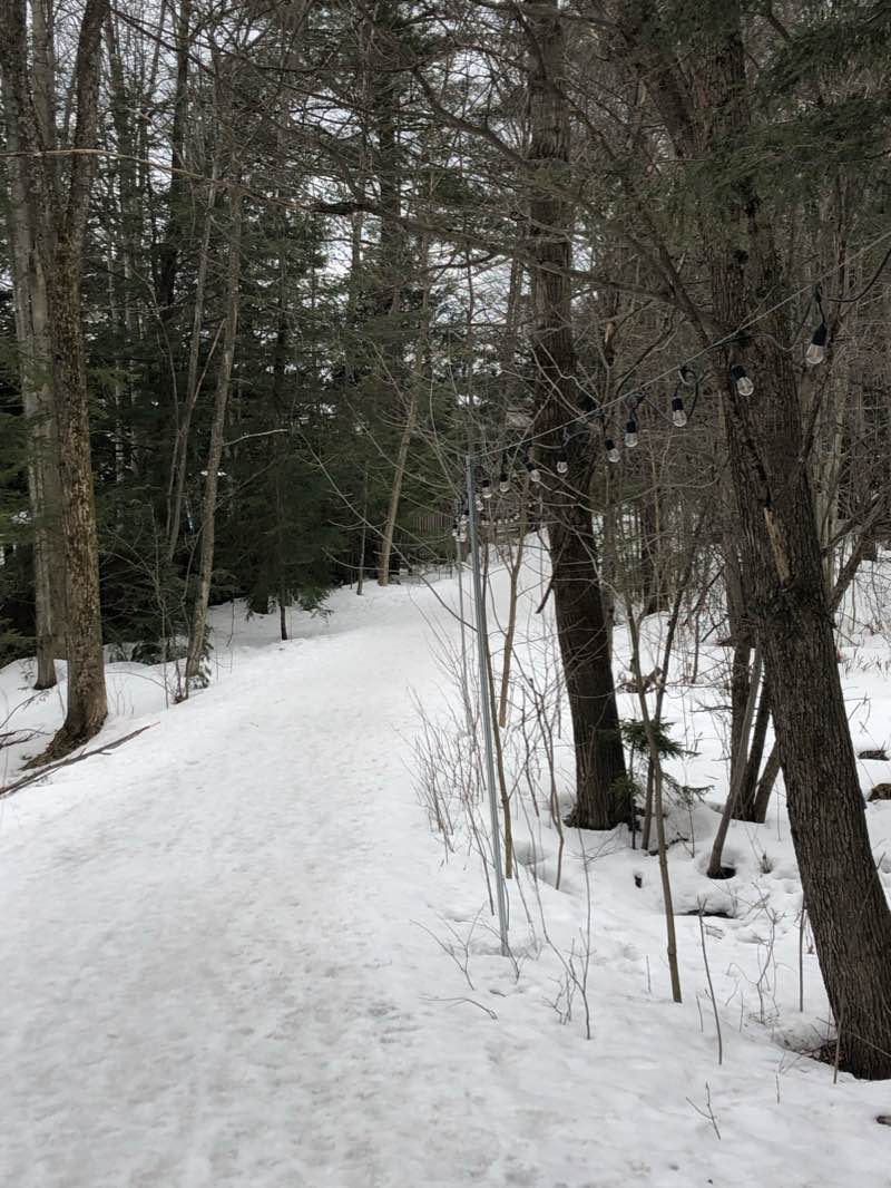 walking near me in Parc Central in winter