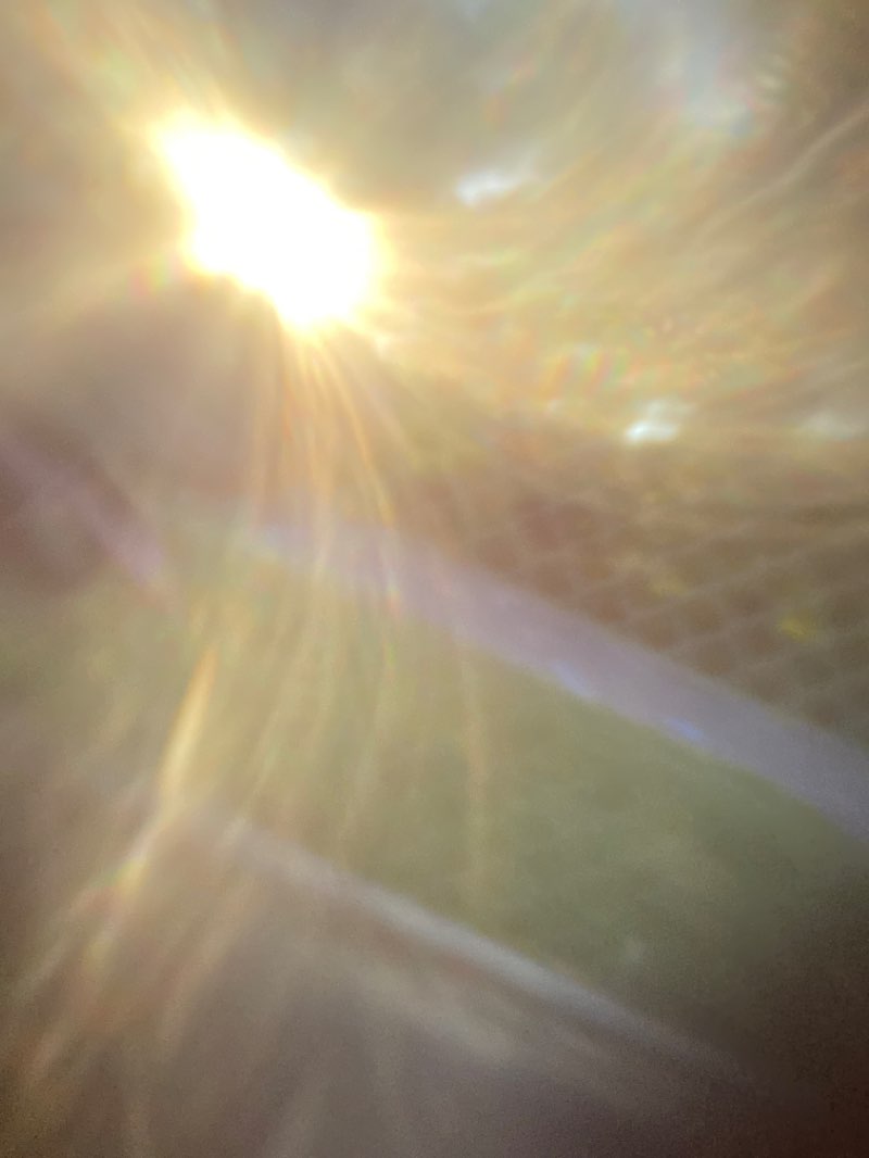 walking near me in Bruce E. Henry Park in winter