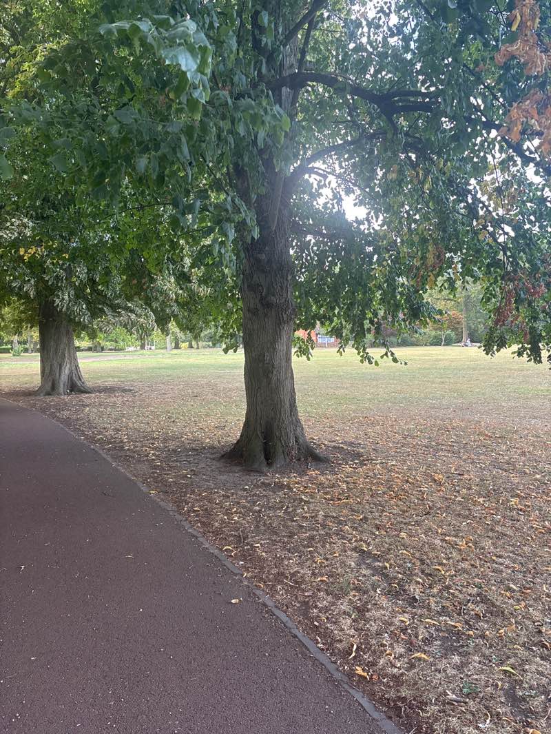 walking near me in West Park in autumn