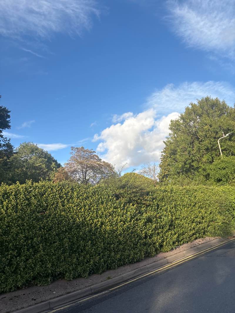 walking near me in Muchall Park in autumn