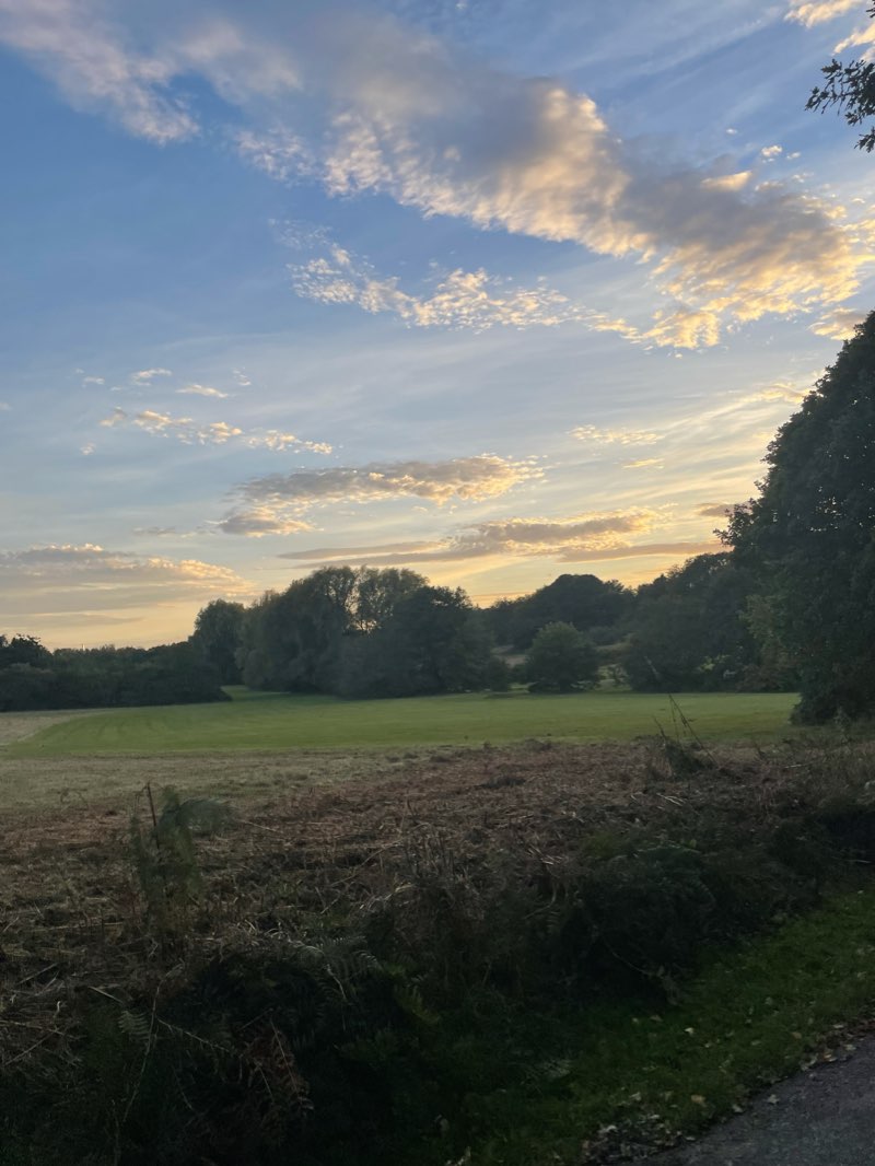 walking near me in Town Park in winter