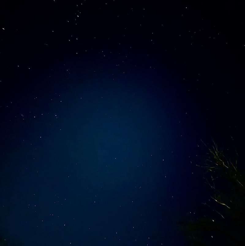 Skull Crushers🇺🇸🚸☠️ Tine post image