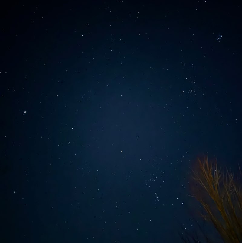 Skull Crushers🇺🇸🚸☠️ Tine post image