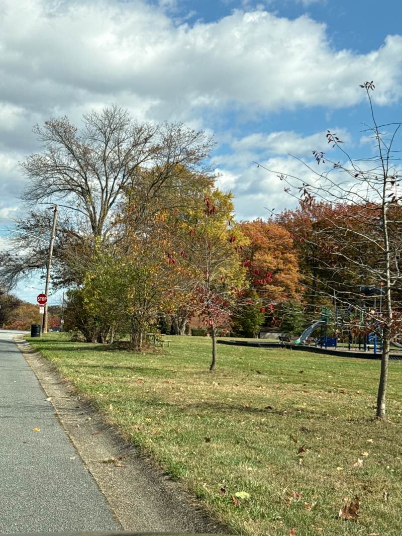 walking near me in Blue Rock Manor Park in autumn