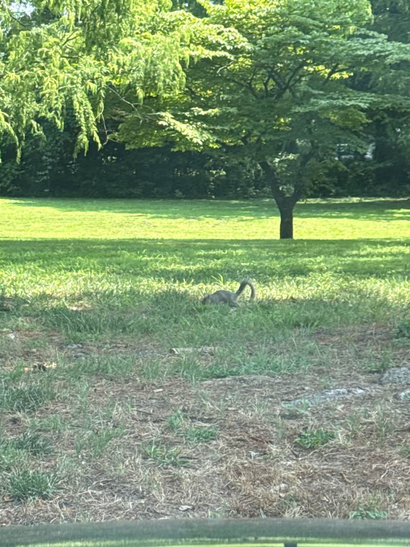 walking near me in Silver Lake Park in autumn