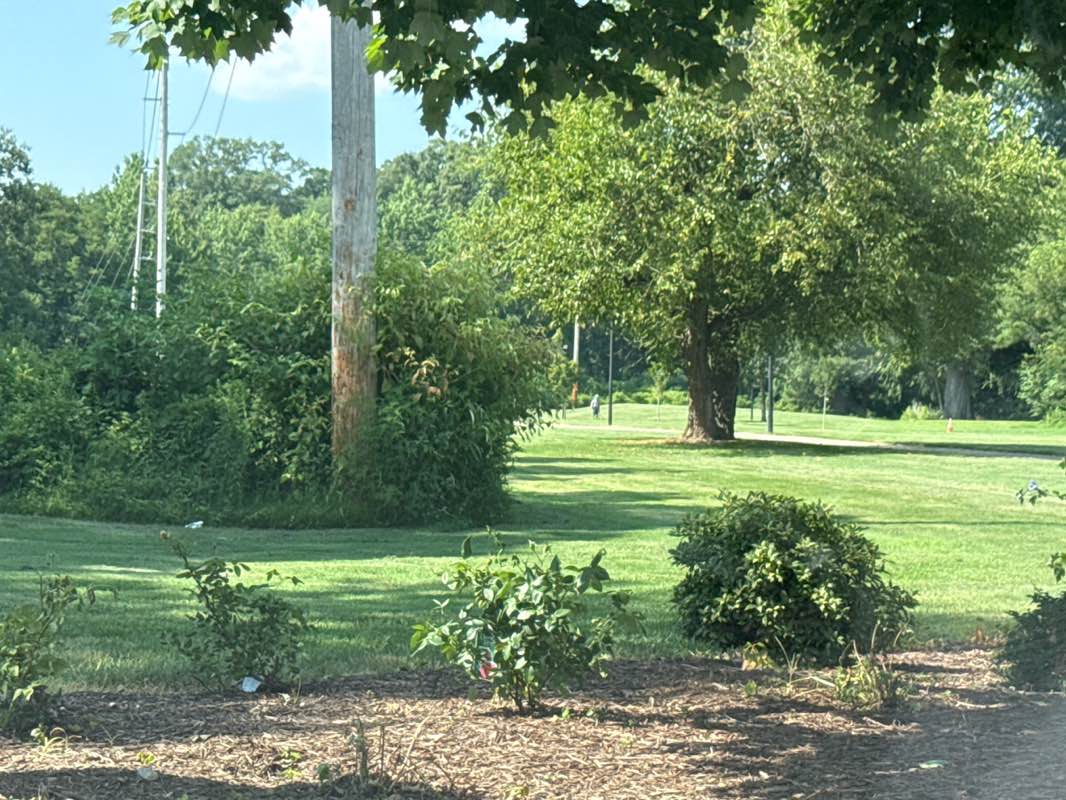 walking near me in Mallard Pond Park in autumn