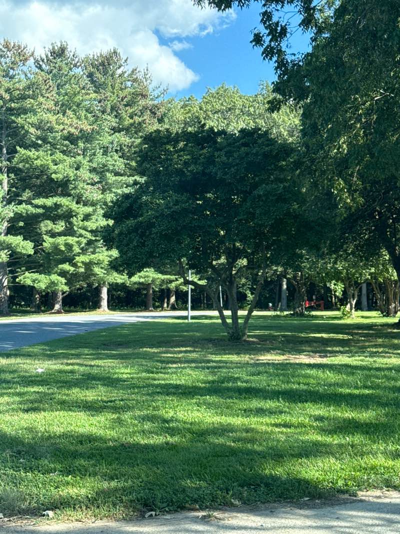walking near me in Dover Park in autumn