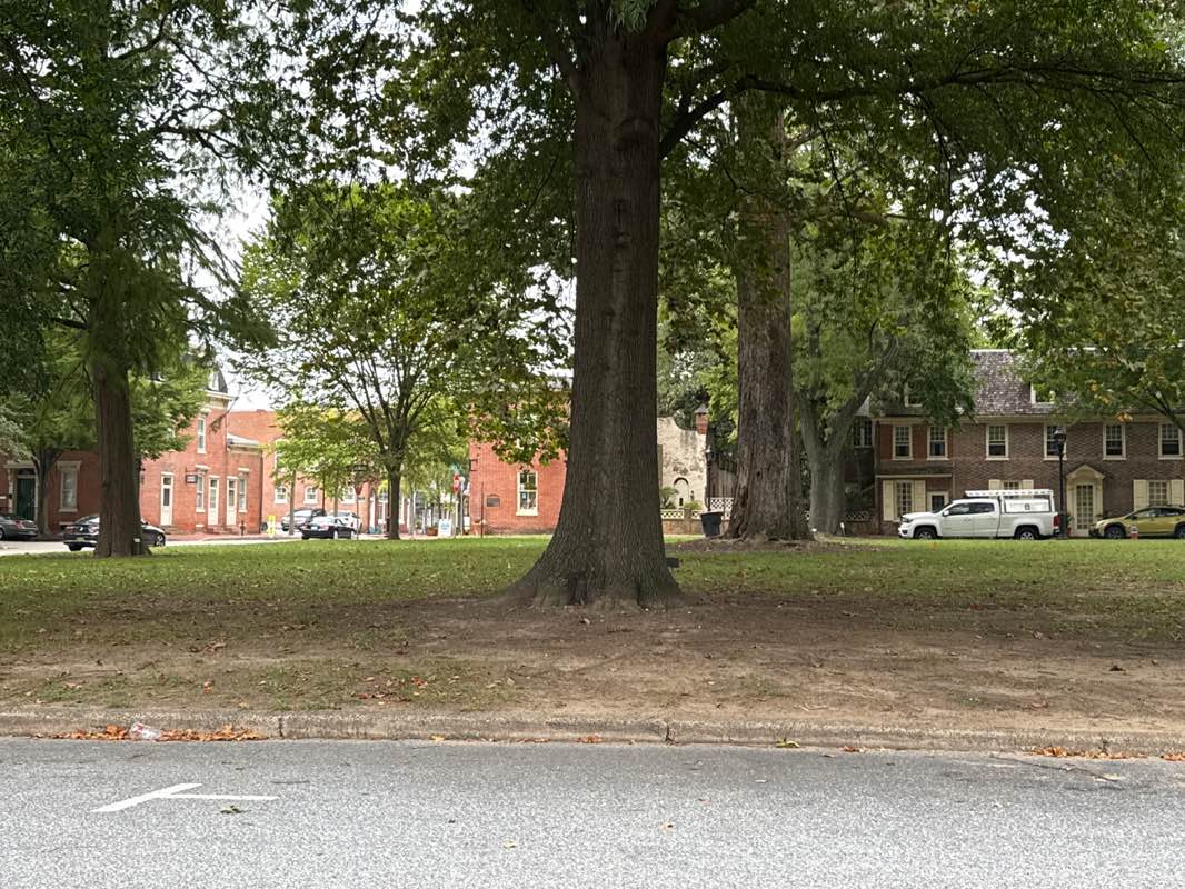 walking near me in The Green (First State Heritage Park) in autumn
