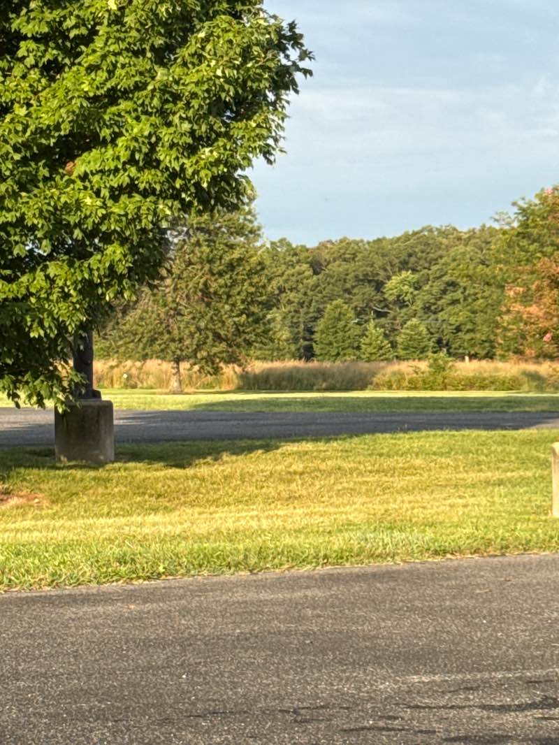 walking near me in Big Oak Park in autumn