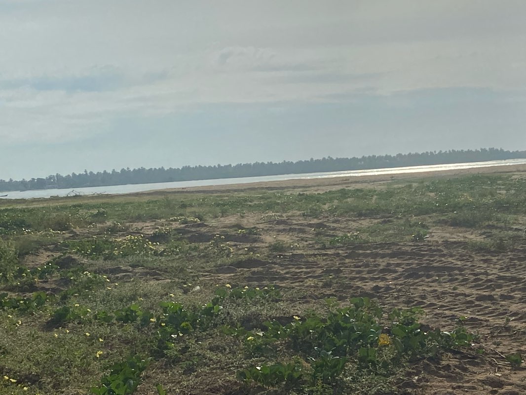 walking near me in Praça Tobias Barreto in summer