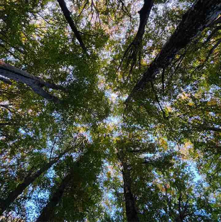 agnese.lustrissimi post 1