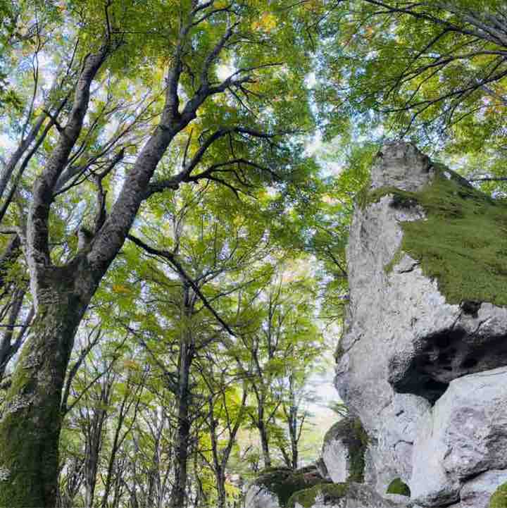 agnese.lustrissimi post 3