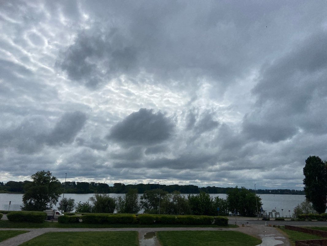 walking near me in Piazzale Vittorio Veneto in spring