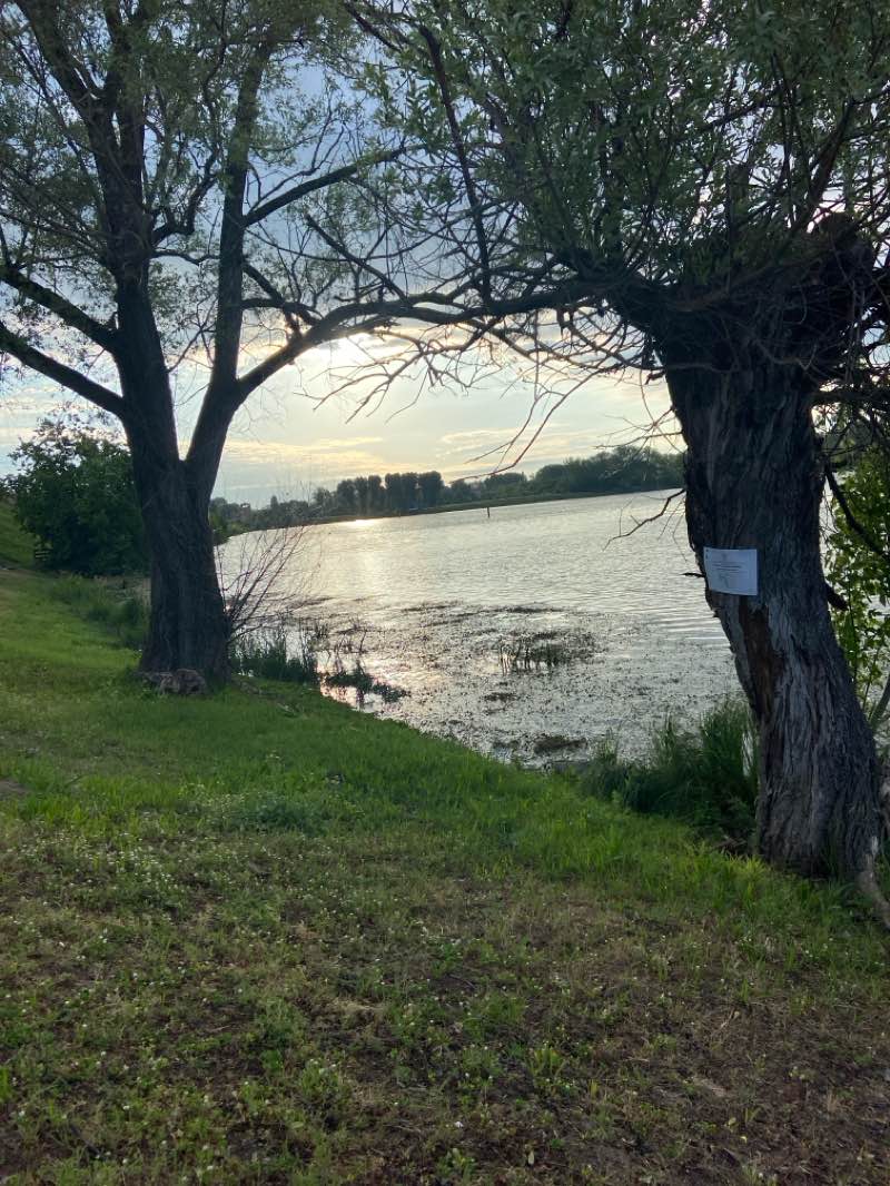 walking near me in Lungolago dei Gonzaga in spring