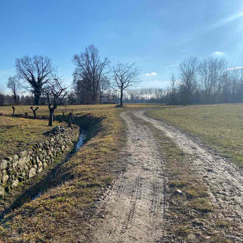 Lorena🥇🏰🥇 post 2