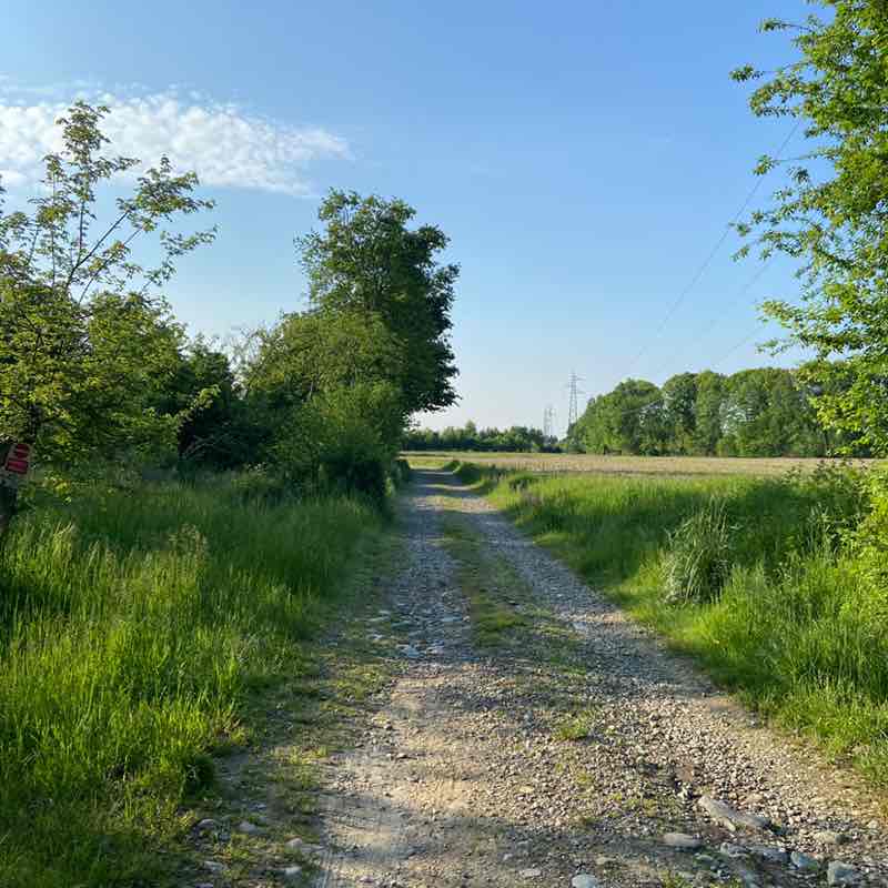 Lorena🥇🏰🥇 post 1