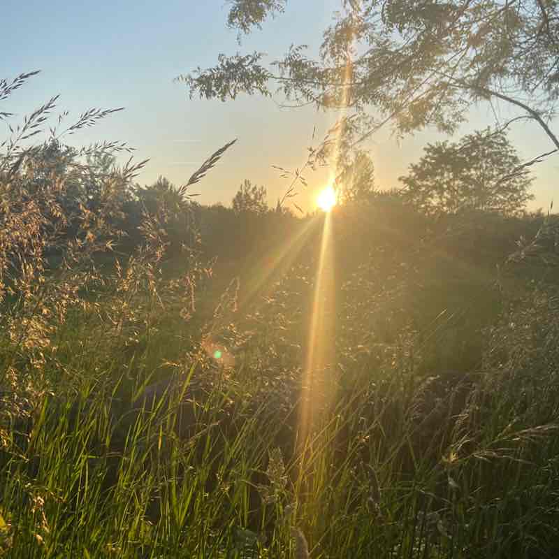 Lorena🥇🏰🥇 post 3