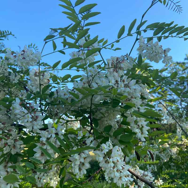 Lorena🥇🏰🥇 post 3