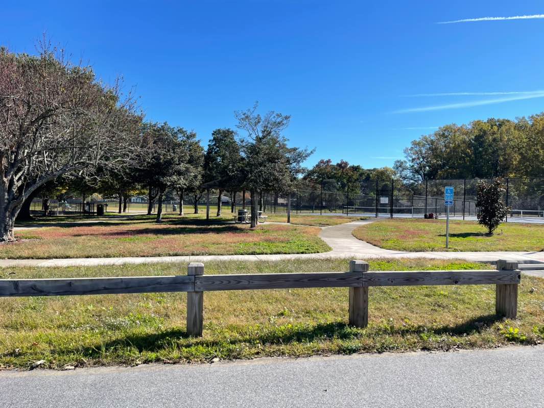 walking near me in Woodstock Park in autumn