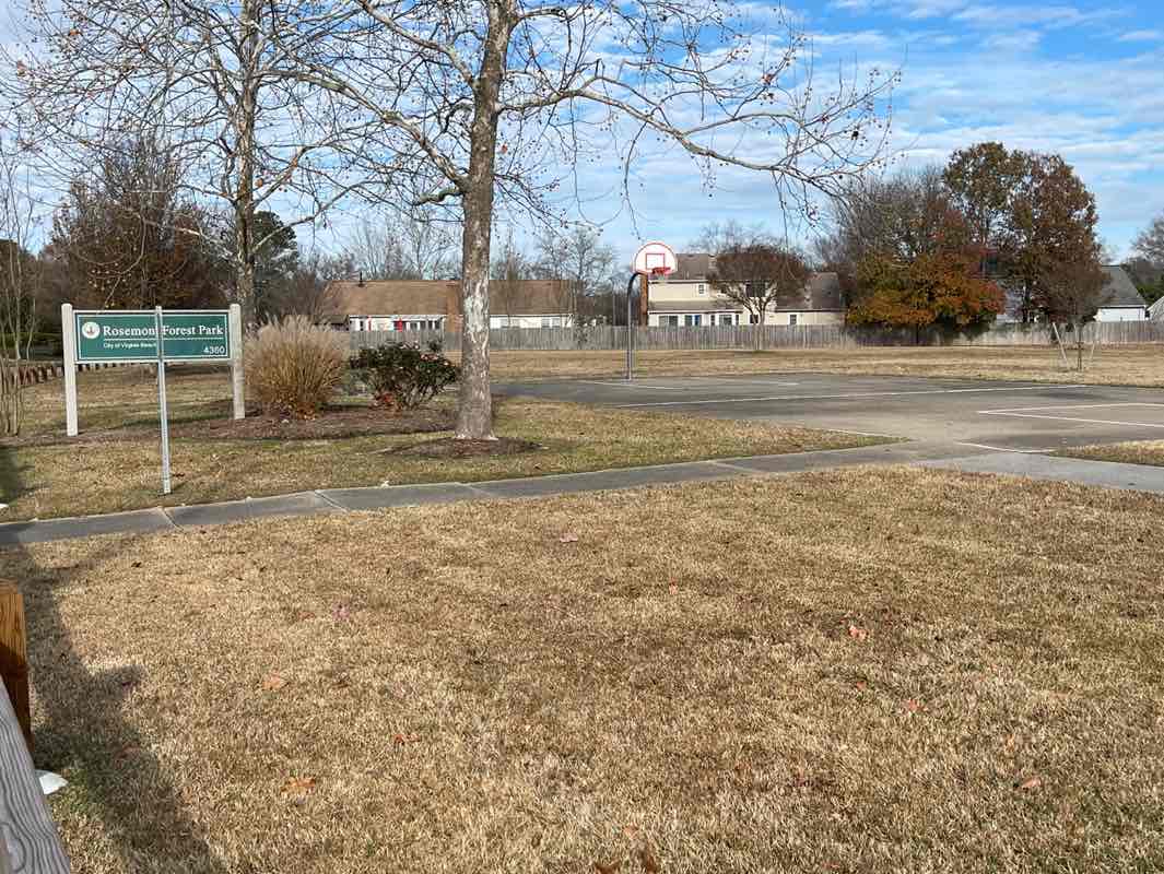 walking near me in Rosemont Forrst Park in winter