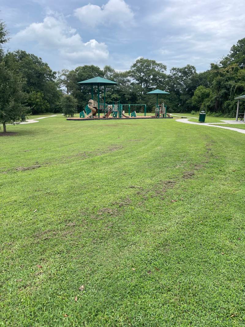 walking near me in Plymouth Park in autumn