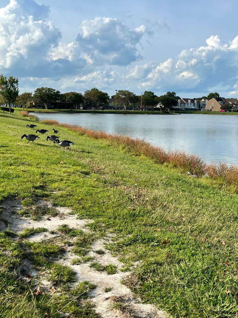 walking near me in Kempsville Lake Community Park in autumn