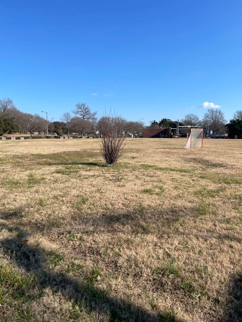 walking near me in Broad Creek Park in winter