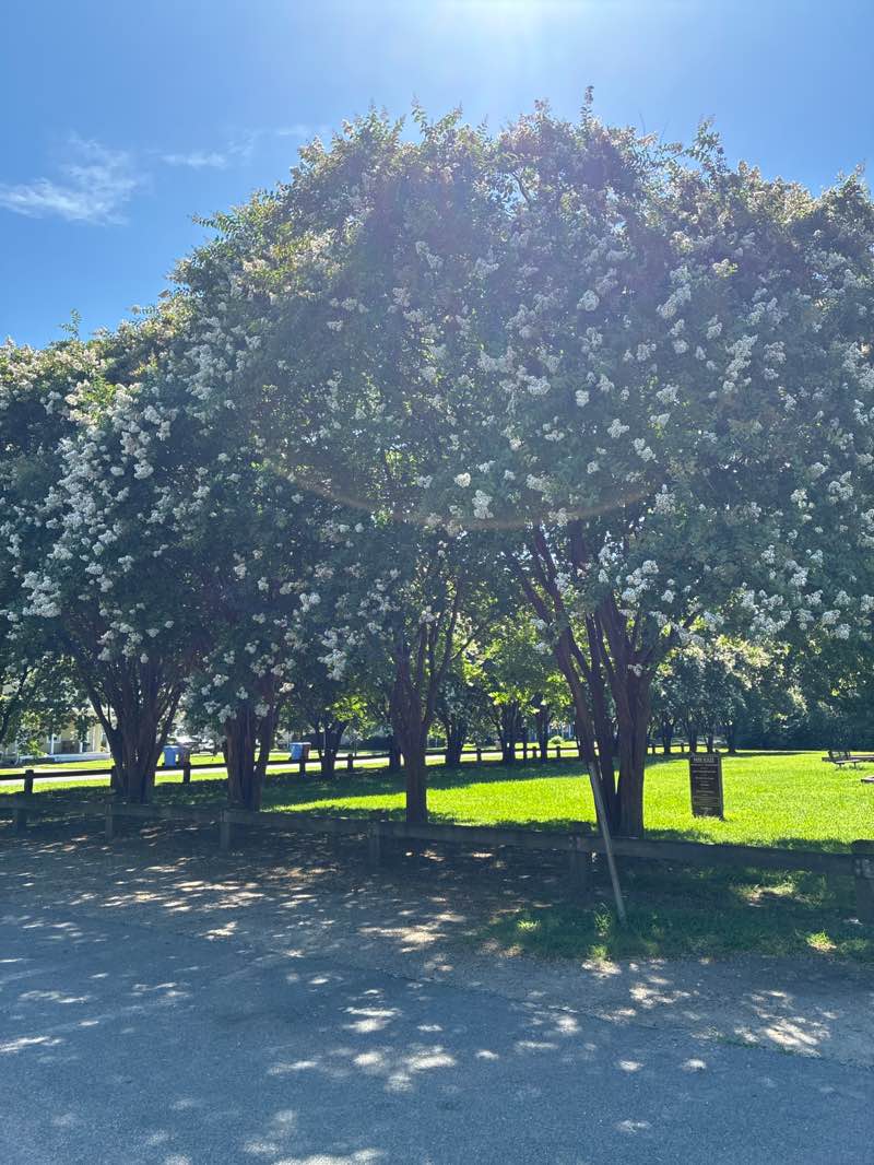 walking near me in Indian River Park in summer