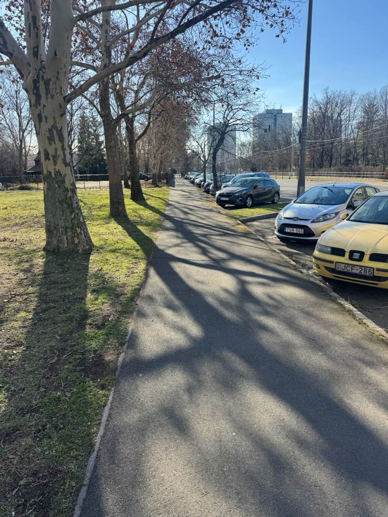 walking near me in Barátság park in winter