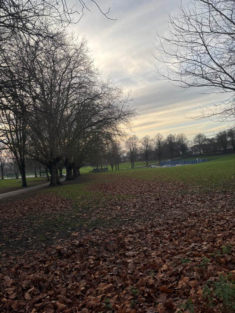 walking near me in Stevens Park in winter
