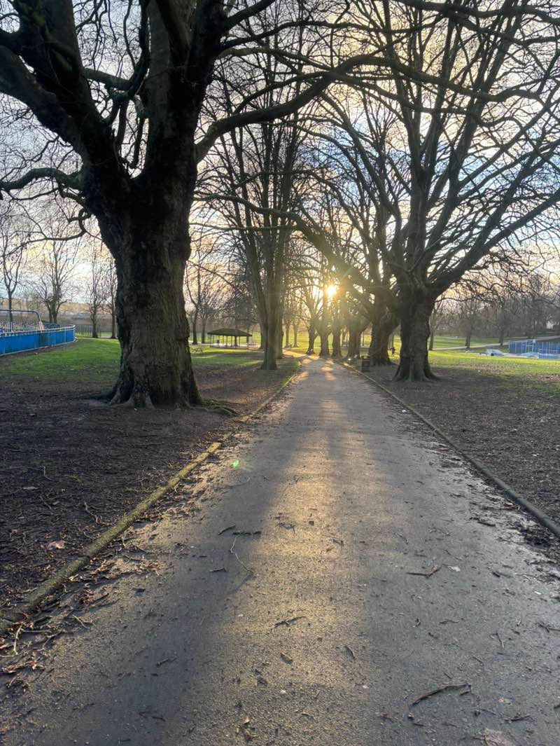 walking near me in Stevens Park in winter