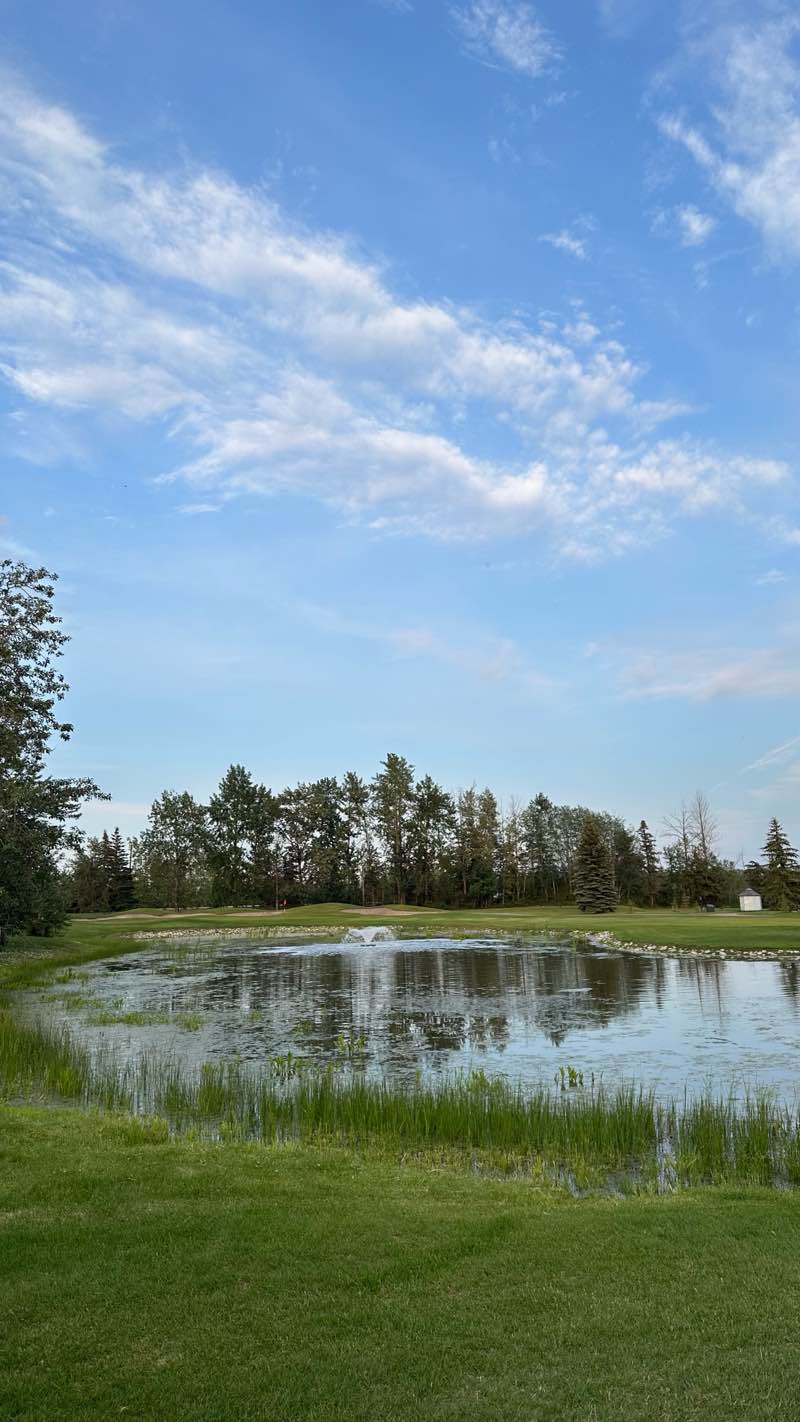 walking near me in South Bear Creek Ball Diamonds in summer