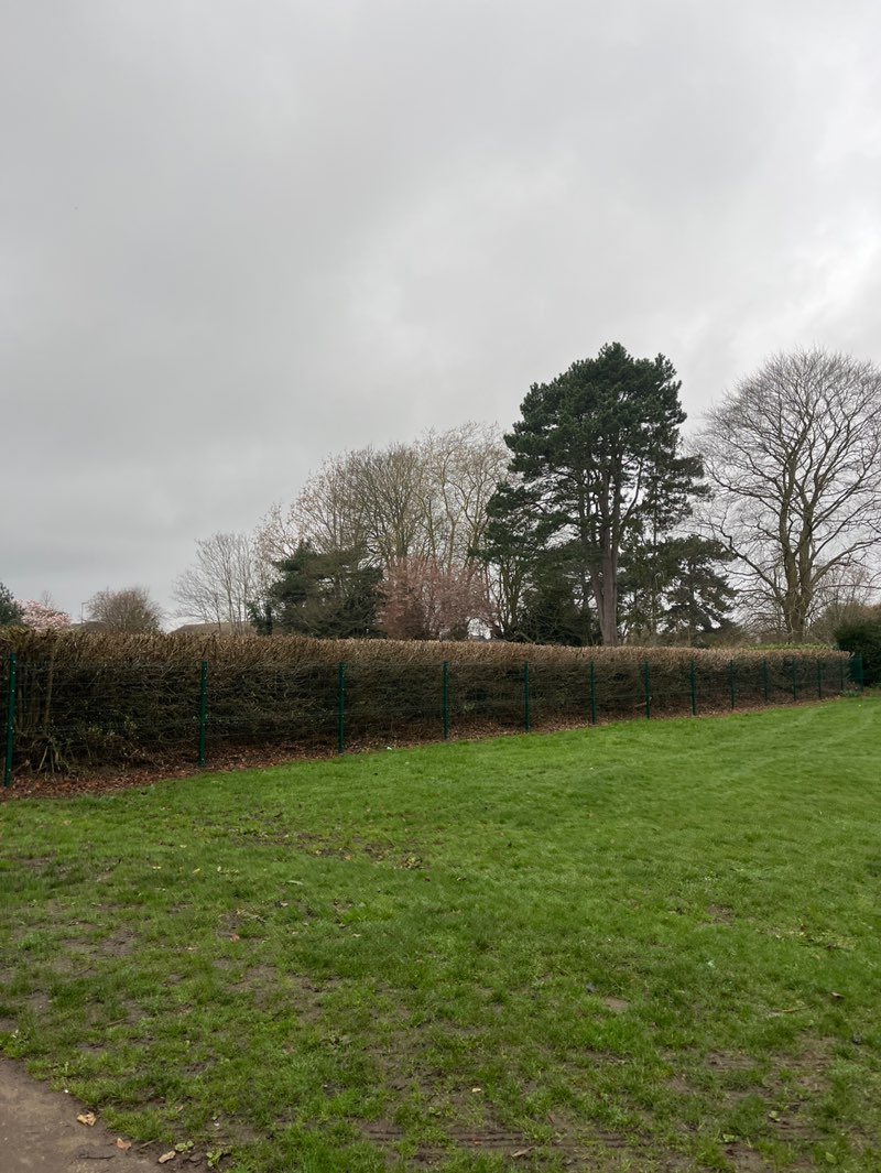 walking near me in Alexandra Park in spring