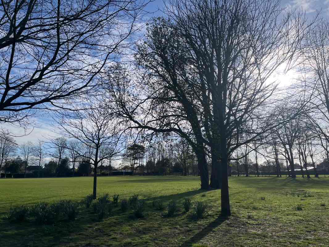 walking near me in Alexandra Park in spring