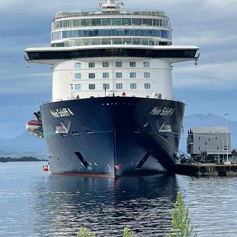 Die Hochleistungs-Gassigeher 😎 Roswitha post image