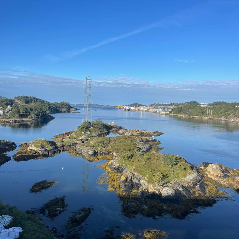 Die Hochleistungs-Gassigeher 😎 Roswitha post image